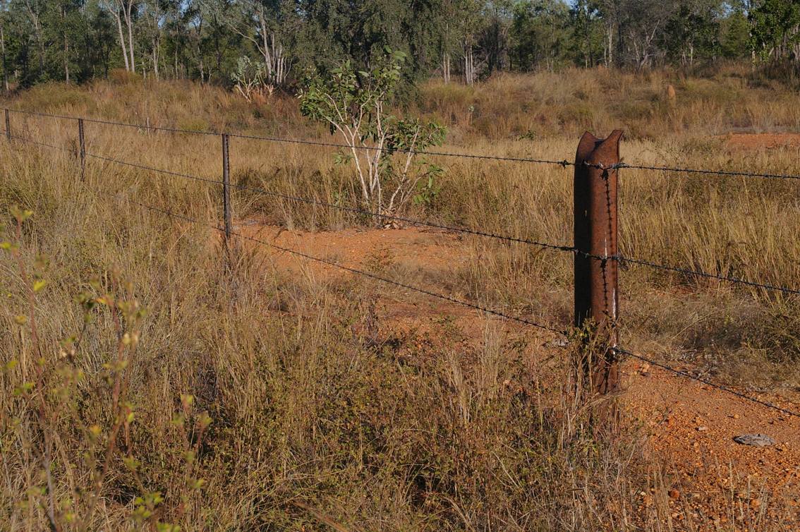  Fence Phillips Sleeper